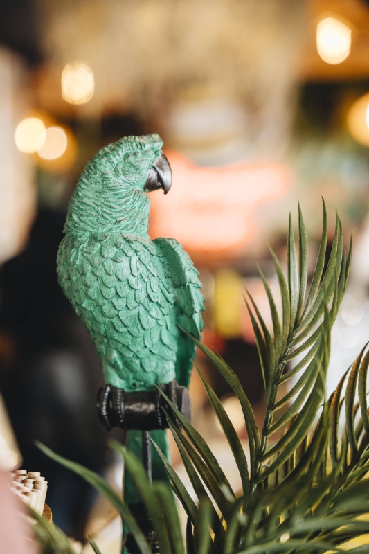 Le restaurant - Ùnico Rodizio - Nice - Meilleur restaurant Nice